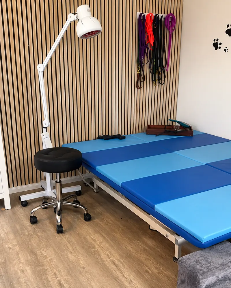 Behandlungsraum der Tierphysiotherapie Hagen mit gepolsterter Behandlungsfläche und Wärmelampe